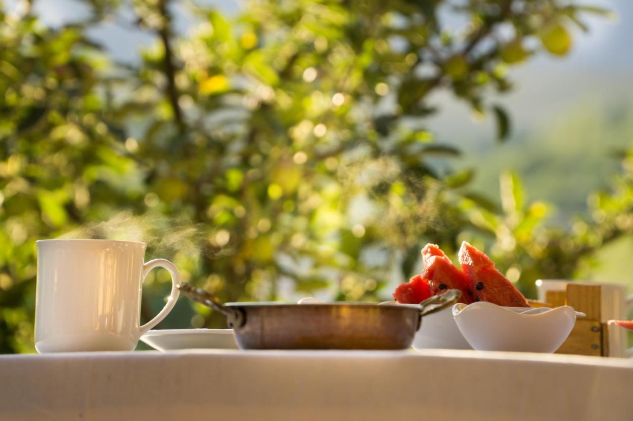 Aladaglar Mountain Hostel Cukurbag  외부 사진
